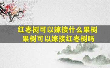 红枣树可以嫁接什么果树 果树可以嫁接红枣树吗